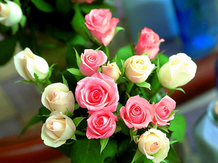 jeans怎么读(“牛仔裤”用英语怎么说?) jeans怎么读(“牛仔裤”用英语怎么说?)