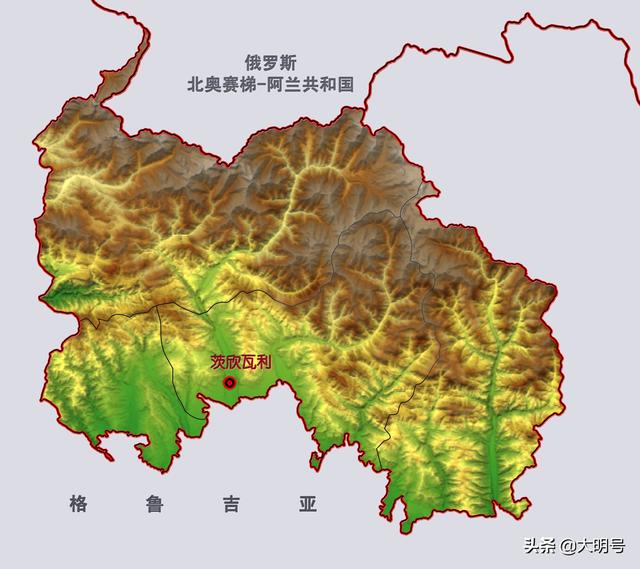 格鲁吉亚和俄罗斯战争揭秘（图说2008年的俄格战争）(4)