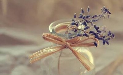 ​教师节短信祝福语短语，教师节给老师的祝福语大全