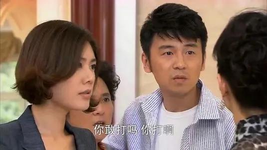 刘涛最经典的5部电视剧(国产玛丽苏剧打了多少人的脸)(6)