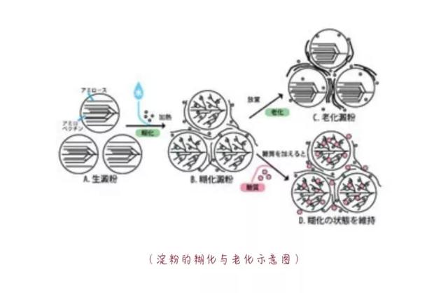 正规海藻糖是什么糖(全面解析海藻糖)(5)
