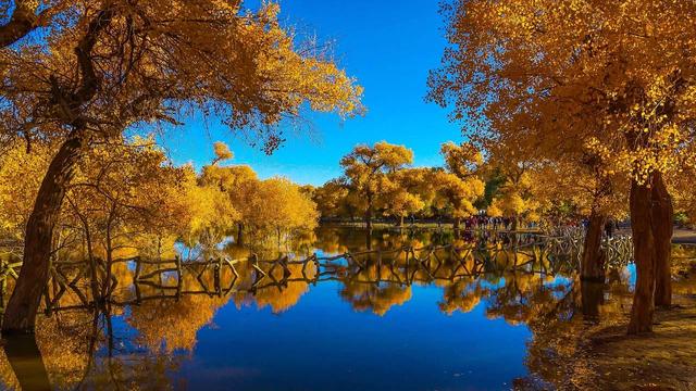 内蒙额济纳旗位置简介(真正的内蒙古阿拉善盟额济纳旗您了解多少)(3)