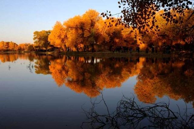 内蒙额济纳旗位置简介(真正的内蒙古阿拉善盟额济纳旗您了解多少)(2)