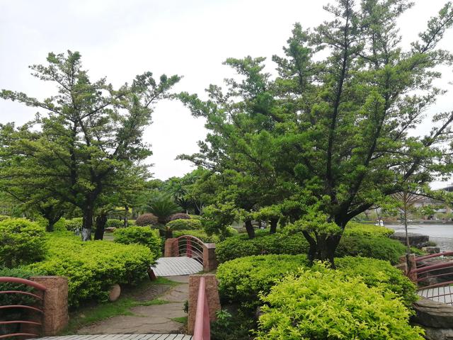 桂城千灯湖旅游攻略（地铁广佛线佛山无敌漂亮的千灯湖一日游攻略A篇）(5)