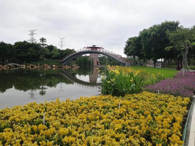 桂城千灯湖旅游攻略（地铁广佛线佛山无敌漂亮的千灯湖一日游攻略A篇）(23)