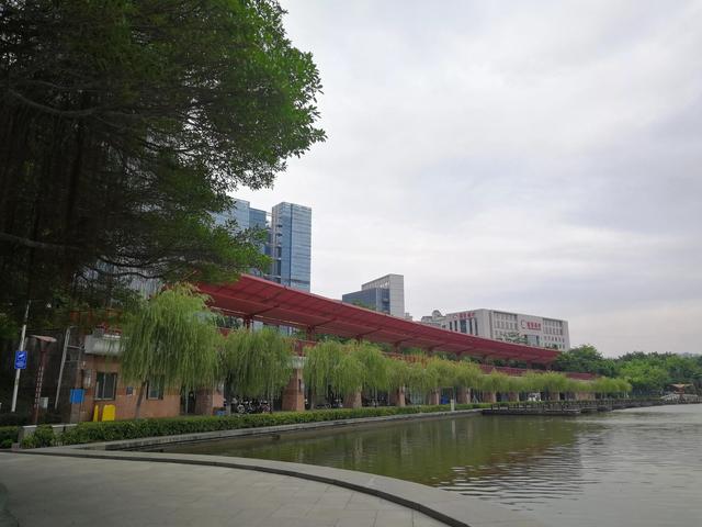 桂城千灯湖旅游攻略（地铁广佛线佛山无敌漂亮的千灯湖一日游攻略A篇）(2)