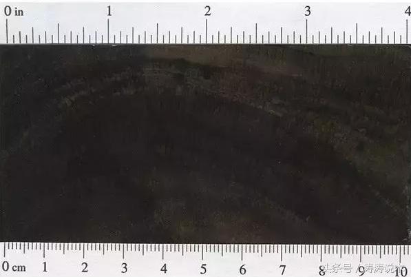 乌木一般是什么木头（加蓬乌木木材简介）(3)