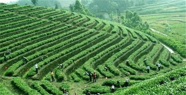 清远最好的旅游景点(这16个景点不容错过)(9)