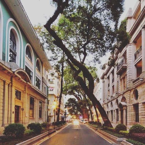 广州50个旅游景点攻略(广州十大必去旅游景点)(15)