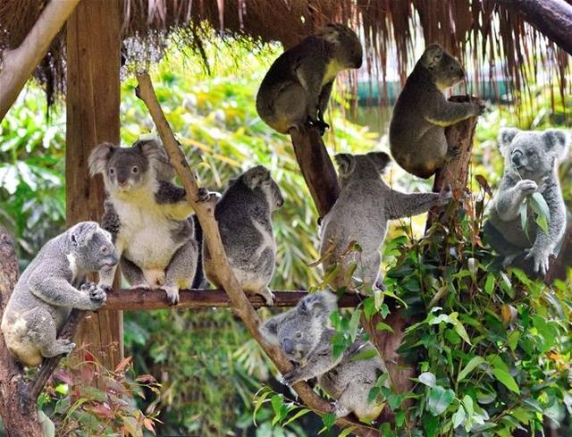 广州50个旅游景点攻略(广州十大必去旅游景点)(7)