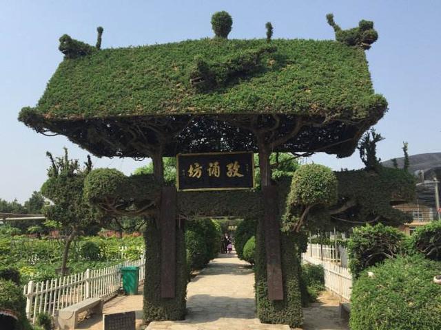 山东菏泽有什么景点（山东菏泽著名的九大旅游景点）(4)