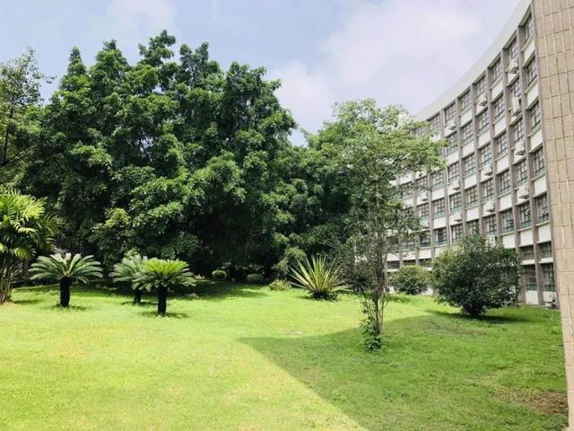 欢迎报读广州城市职业学院(全面了解广州城市职业学院)(7)