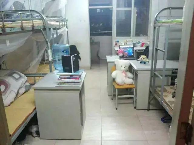 欢迎报读广州城市职业学院(全面了解广州城市职业学院)(30)