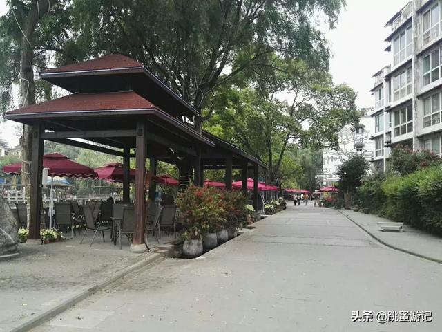 成都郫都三道堰景区(成都市郫都区三道堰古镇之旅)(49)