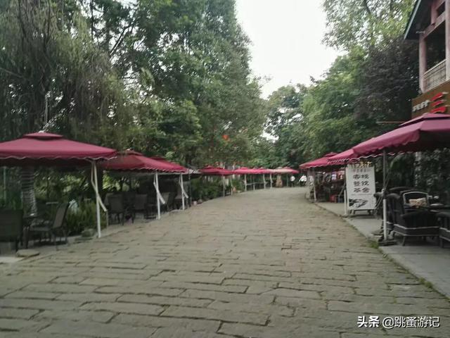 成都郫都三道堰景区(成都市郫都区三道堰古镇之旅)(34)