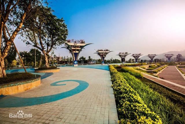 梧州市河东骑楼城历史（梧州这座古老的城）(7)