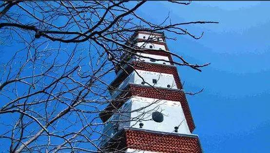 梧州市河东骑楼城历史（梧州这座古老的城）(10)