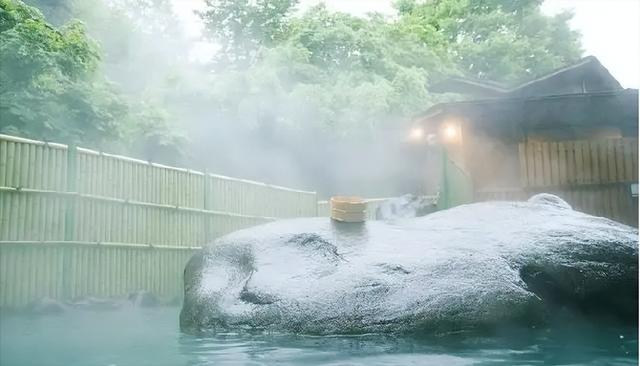 温泉康养旅游经验(风光隽秀养生天堂)(11)