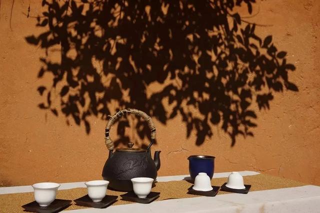 西双版纳什么季节去旅游最佳(西双版纳避寒旅游的最佳时节到了)(17)