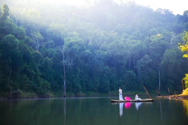 西双版纳什么季节去旅游最佳(西双版纳避寒旅游的最佳时节到了)(27)