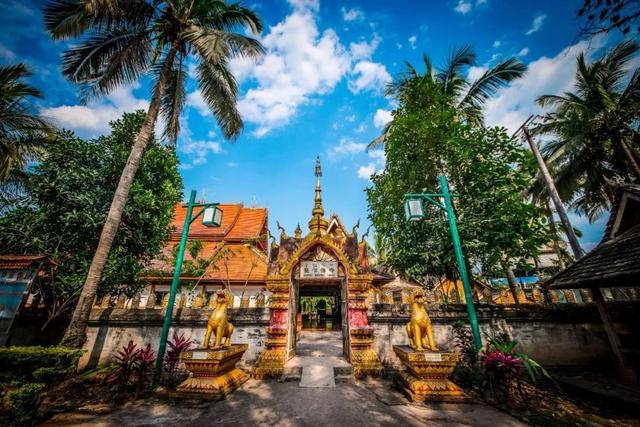 西双版纳什么季节去旅游最佳(西双版纳避寒旅游的最佳时节到了)(1)