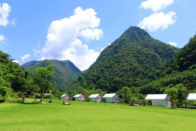 西双版纳什么季节去旅游最佳(西双版纳避寒旅游的最佳时节到了)(22)