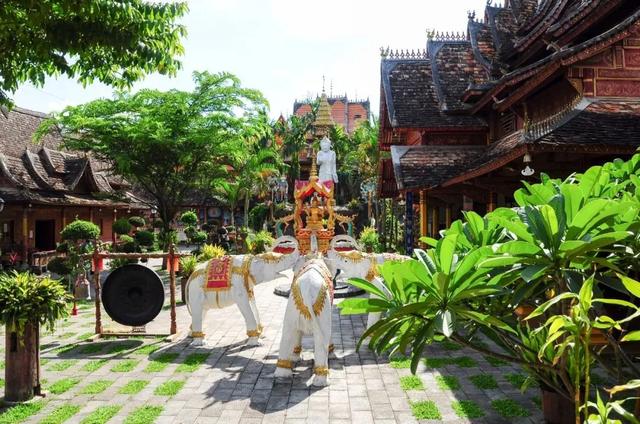 西双版纳什么季节去旅游最佳(西双版纳避寒旅游的最佳时节到了)(9)