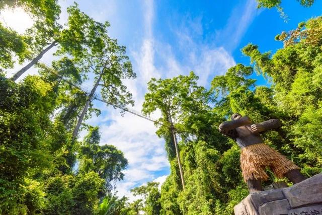 西双版纳什么季节去旅游最佳(西双版纳避寒旅游的最佳时节到了)(25)