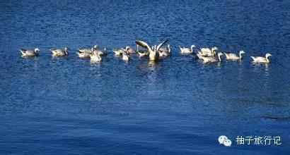 去云南普者黑旅游攻略(最实用最全面的云南普者黑旅游贴士)(4)