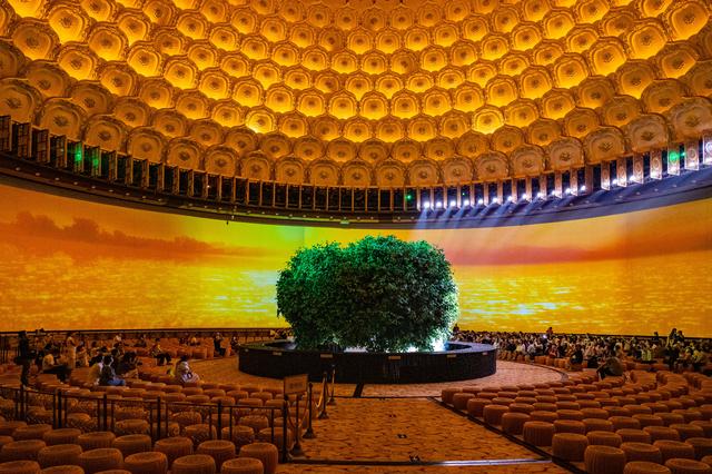 无锡灵山一天旅游攻略(金秋入无锡灵山胜境)(26)