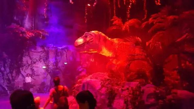 番禺长隆野生动物园带娃游玩攻略(广州番禺长隆野生动物园)(14)