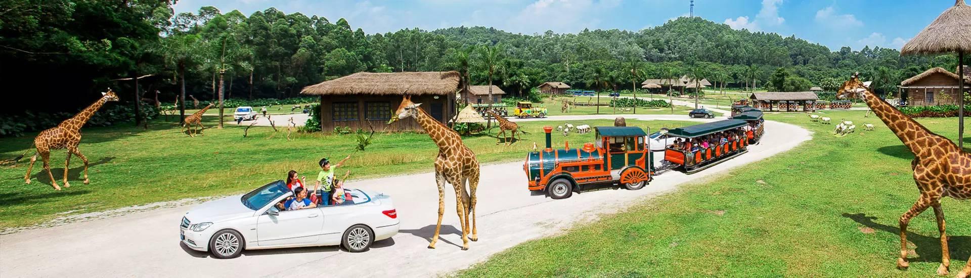 番禺长隆野生动物园带娃游玩攻略(广州番禺长隆野生动物园)(3)