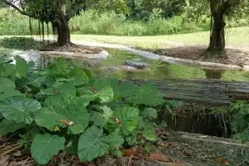 番禺长隆野生动物园带娃游玩攻略(广州番禺长隆野生动物园)(12)