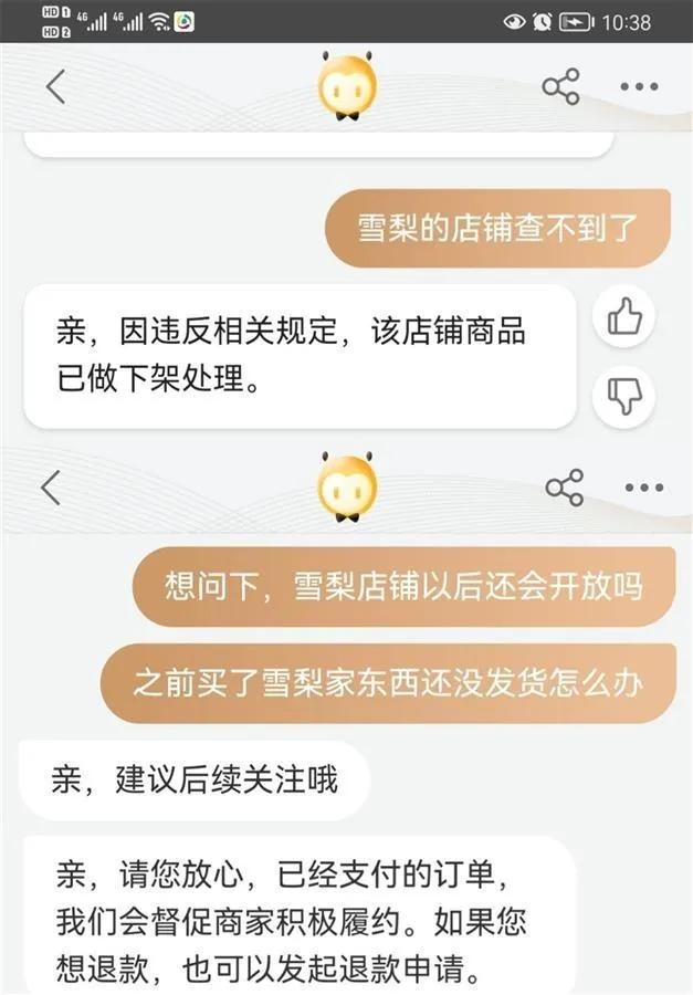 雪梨林珊珊逃税实际挣多少(林珊珊淘宝店铺被封)(1)