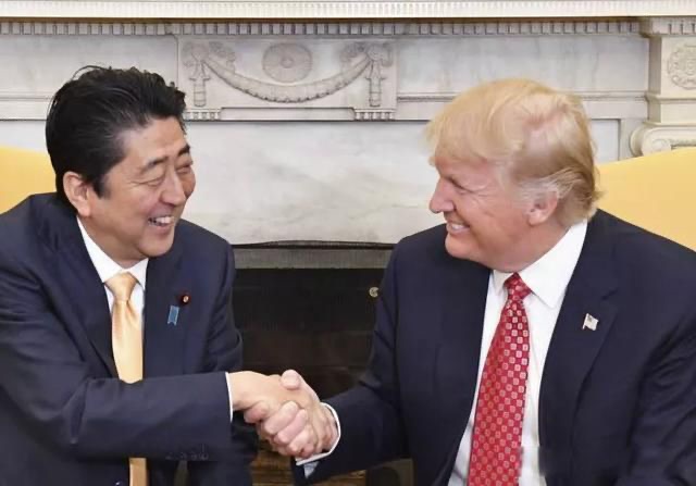 网络图片(侵删)