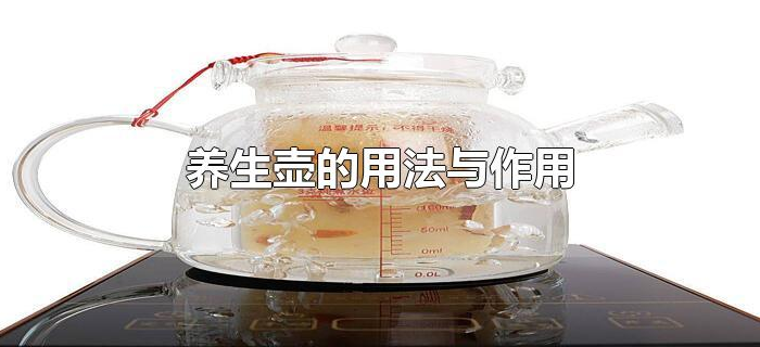 养生壶的用法与作用