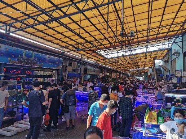 广州芳村最大花鸟鱼虫市场（陪伴广州人20年的花鸟鱼虫市场）(8)