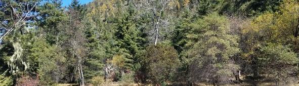 香格里拉旅游景点自由游（香格里拉自由行攻略）(7)