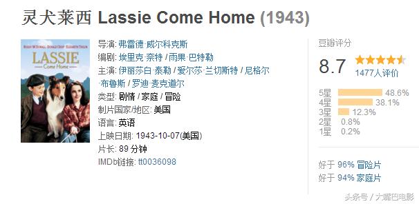关于狗狗的十部电影（与忠犬八公一样温情的最全狗狗电影）(5)