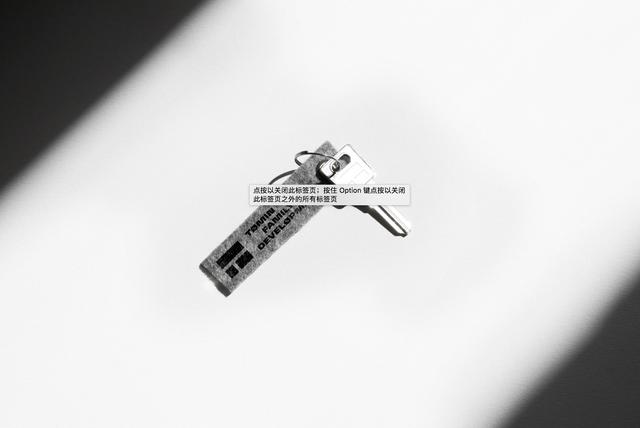 优秀vi整套设计欣赏（几款简约国际范的品牌视觉VI设计）(43)