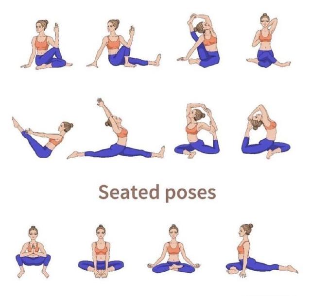 瑜伽平衡体式排课笔记（排课技巧77个瑜伽体式分类及排课巧）(4)