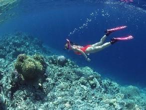 浮潜深潜怎么玩（关于深潜和浮潜的一些小经验）(2)