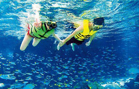 浮潜深潜怎么玩（关于深潜和浮潜的一些小经验）(4)