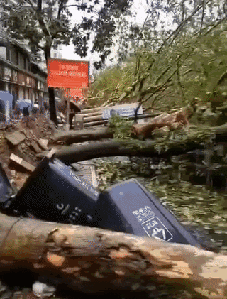 第6号台风上海最新位置(18人遇难14人失联超强台风来袭)(6)