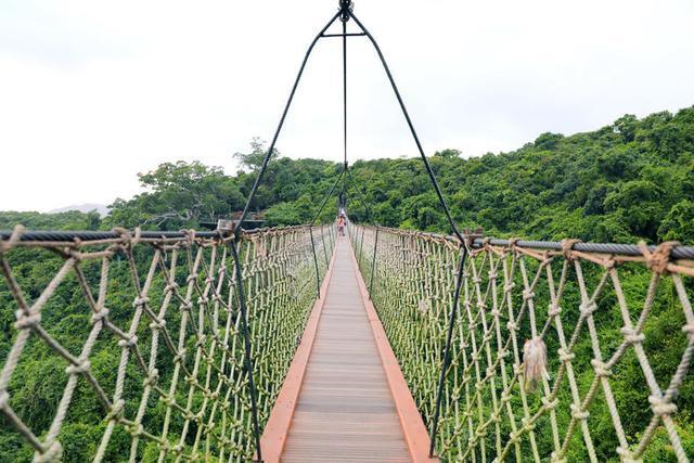 海南热带雨林公园旅游攻略(海南必打卡的天堂级雨林)(11)