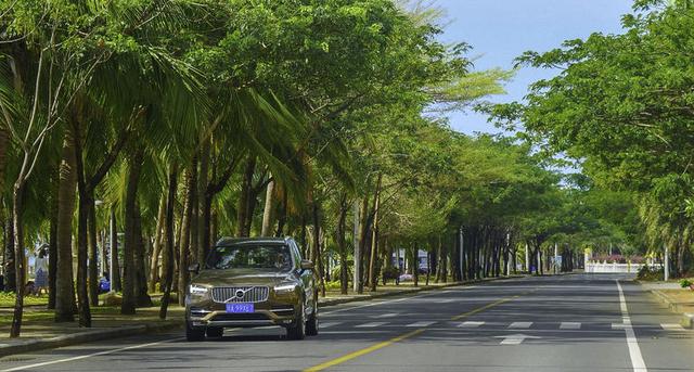 海南热带雨林公园旅游攻略(海南必打卡的天堂级雨林)(14)