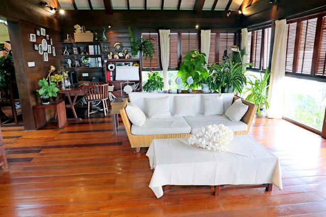 海南热带雨林公园旅游攻略(海南必打卡的天堂级雨林)(17)