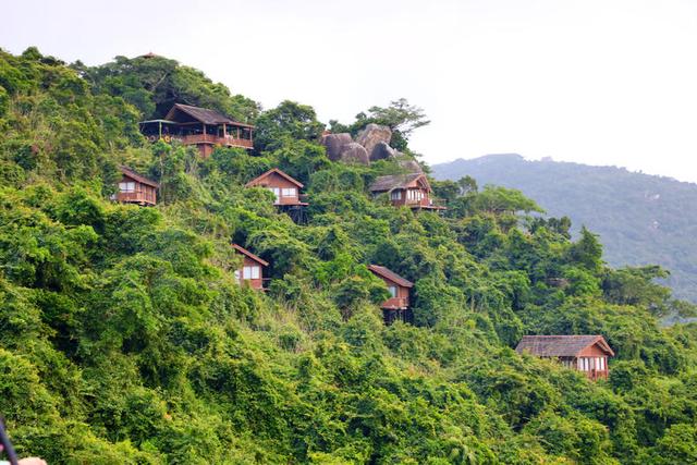 海南热带雨林公园旅游攻略(海南必打卡的天堂级雨林)(9)