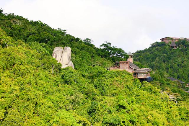 海南热带雨林公园旅游攻略(海南必打卡的天堂级雨林)(3)