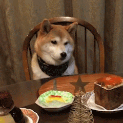 朝南宿舍美食简单好吃的做法（回购10次以上的速食）(2)